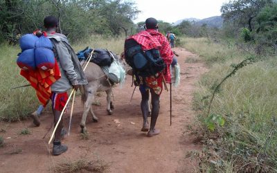 Donkey trekking safari with a Maasai Warriors
