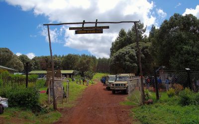 Day trip to Mount Kilimanjaro via Londorosi Gate